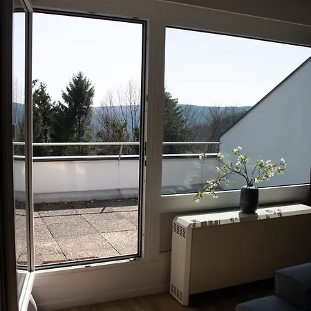 Apartment Modern In With Swimming Pool Winterberg